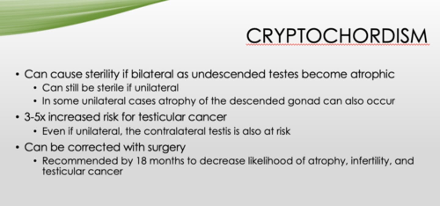 <p>sterility (undescended testes - atrophic, can still happen if unilateral)</p>
