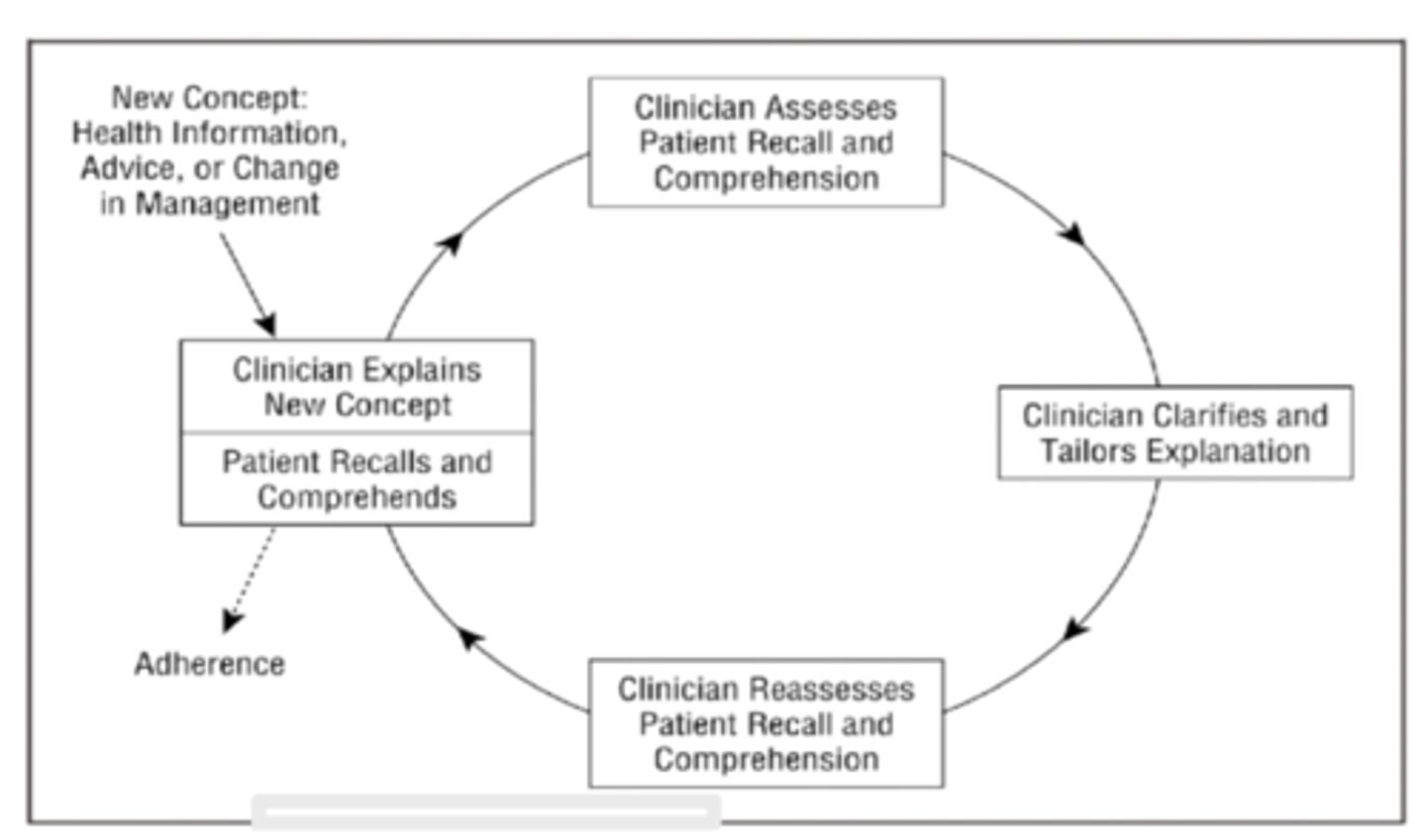 <p>A process in which participants alternate positions as sender and receiver in order to ensure the message has been received</p>