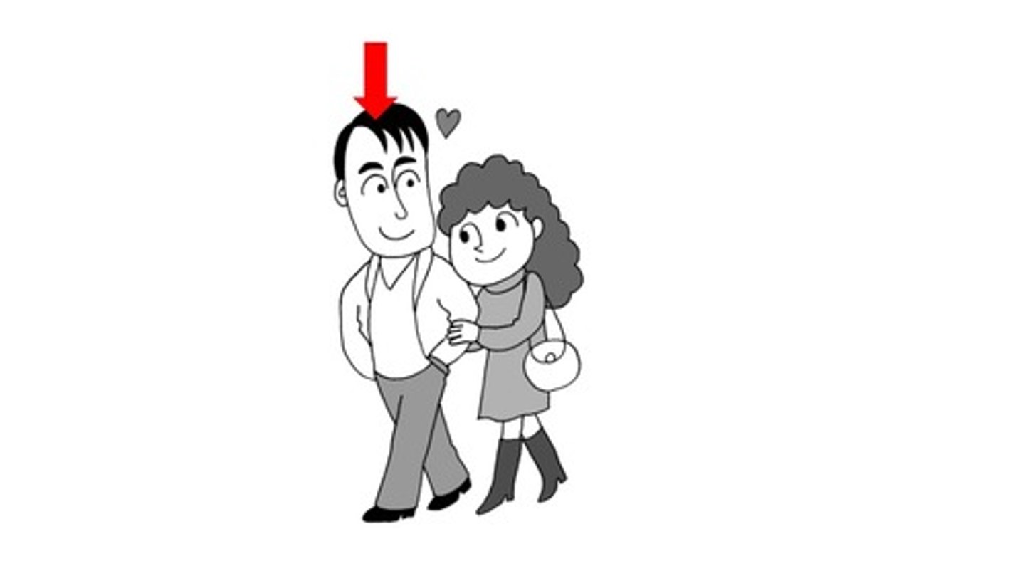 <p>boyfriend; he</p>