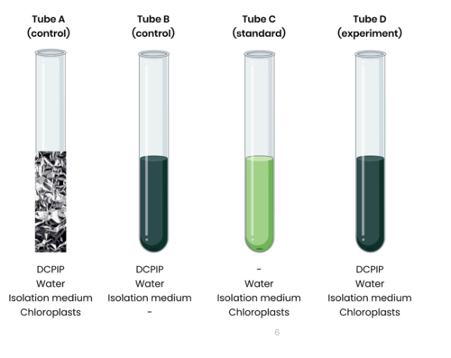 <p>● DCPIP is a redox indicator / DCPIP gets reduced</p><p>● It accepts electrons from photoionisation of chlorophyll</p>