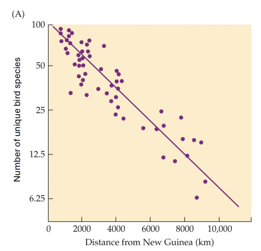 <p>what is island distance?</p>