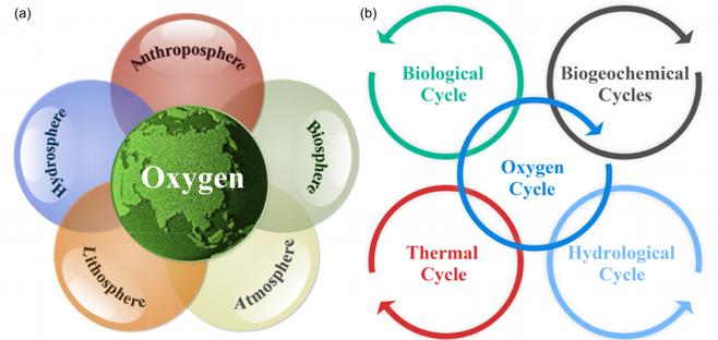 <p>Oxygen</p>