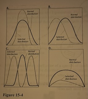 Which type of natural selection shown in Figure 15-4 would favor giraffes that need to reach the tallest branches to eat?