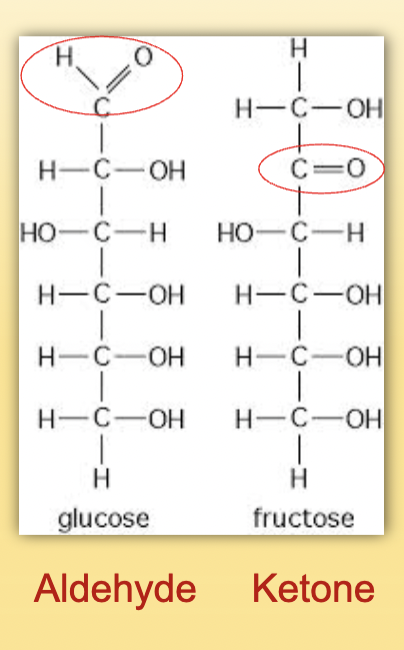 <p>Aldehyde= carbonyl group at end</p><p>Ketine= carbonyl group within</p>