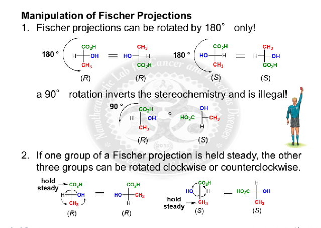 <p>you can only rotate them 180 degrees unless you are holding one atom constant because a 90 degree rotation inversts the stereochemistry and is illegal </p>