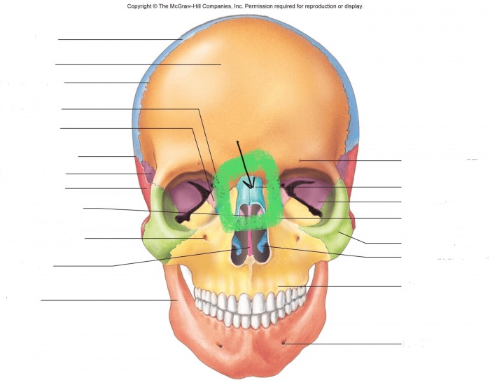 <p>What bone is this?</p>