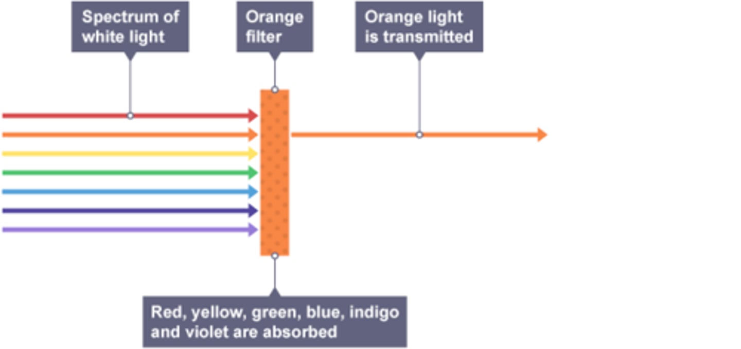 <p>Absorbs certain wavelengths of light and transmits other wavelengths</p>