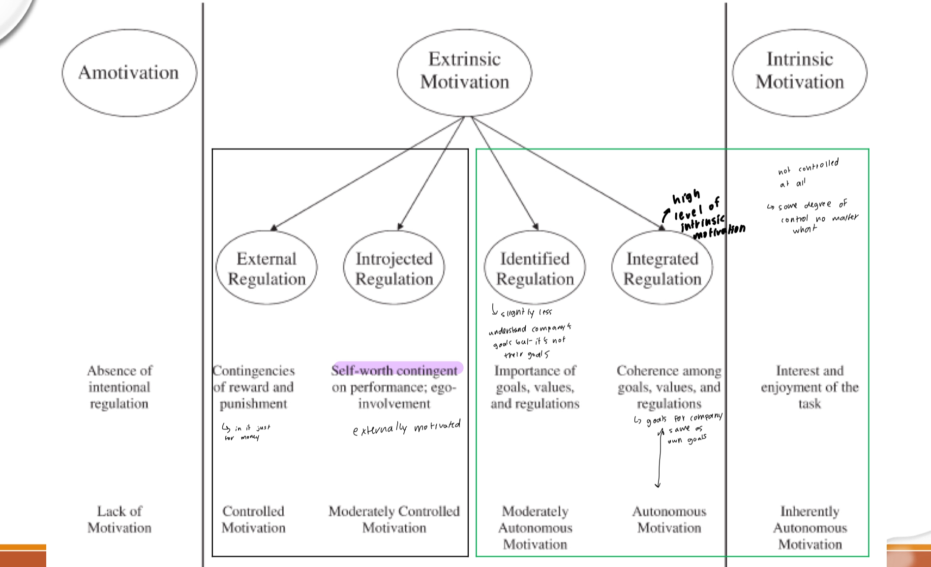 <p>Amotivation —&gt; Extrinsic Motivation (External regulation, introjected regulation, identified regulation, integrated regulation) —&gt; Intrinsic motivation </p><p></p>