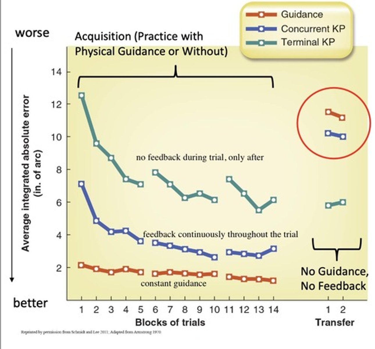 <p>-concurrent feedback (during movement) works a lot like physical guidance</p><p>-only terminal KP (post movement FB) aided learning</p><p>-don't want to make person dependent on FB</p>