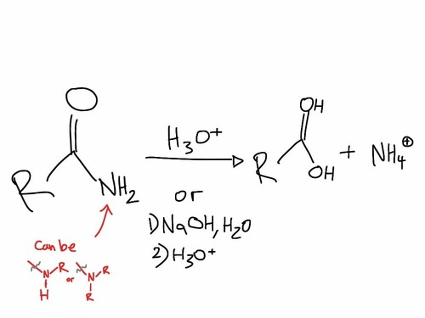 <p>amide to carboxylic acid</p>