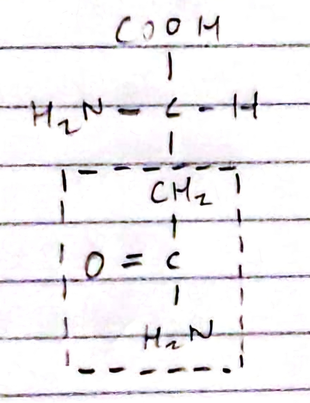 knowt flashcard image