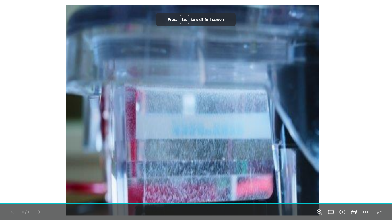 <p>what does this indicates in the electrophoresis apparatus</p>