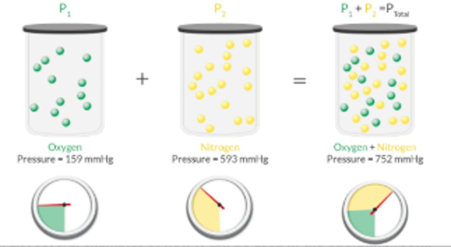 <p>Calculate the partial P of an unmeasured gas</p><p>Calculate the total P</p><p>Convert partial P to volumes %</p><p>Convert volumes % to a partial P</p>