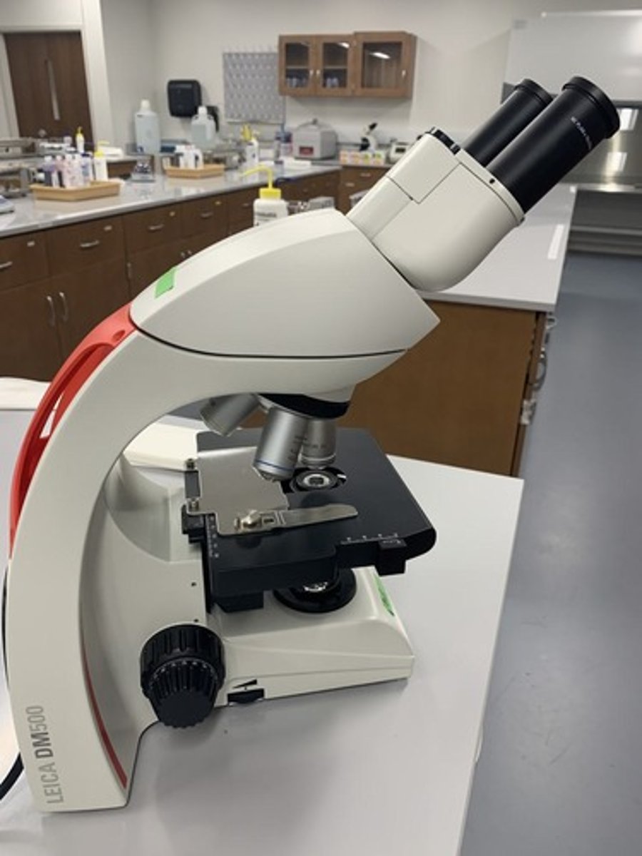 <p>Science of investigating small objects using microscopes.</p>
