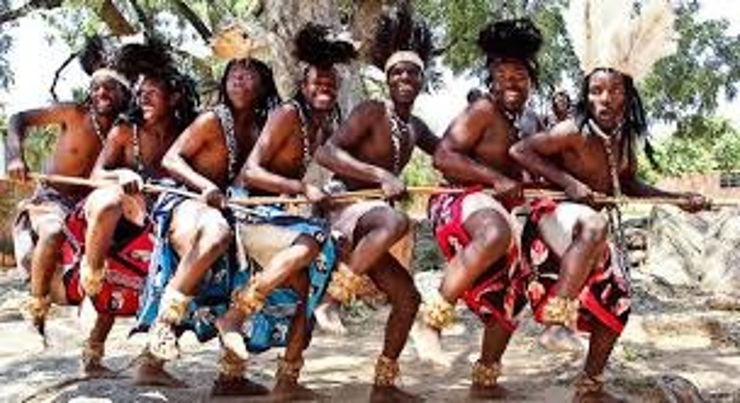<p>The people who spread throughout Africa spreading agriculture, language, and iron.</p>