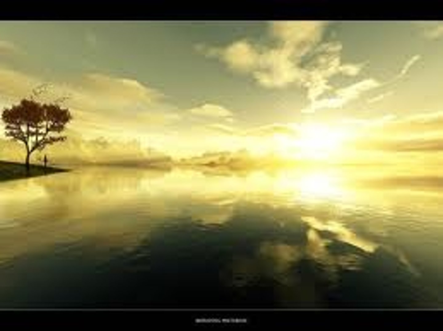 <p>today</p>