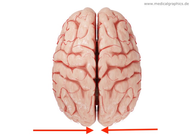 <p>what direction is this?</p>