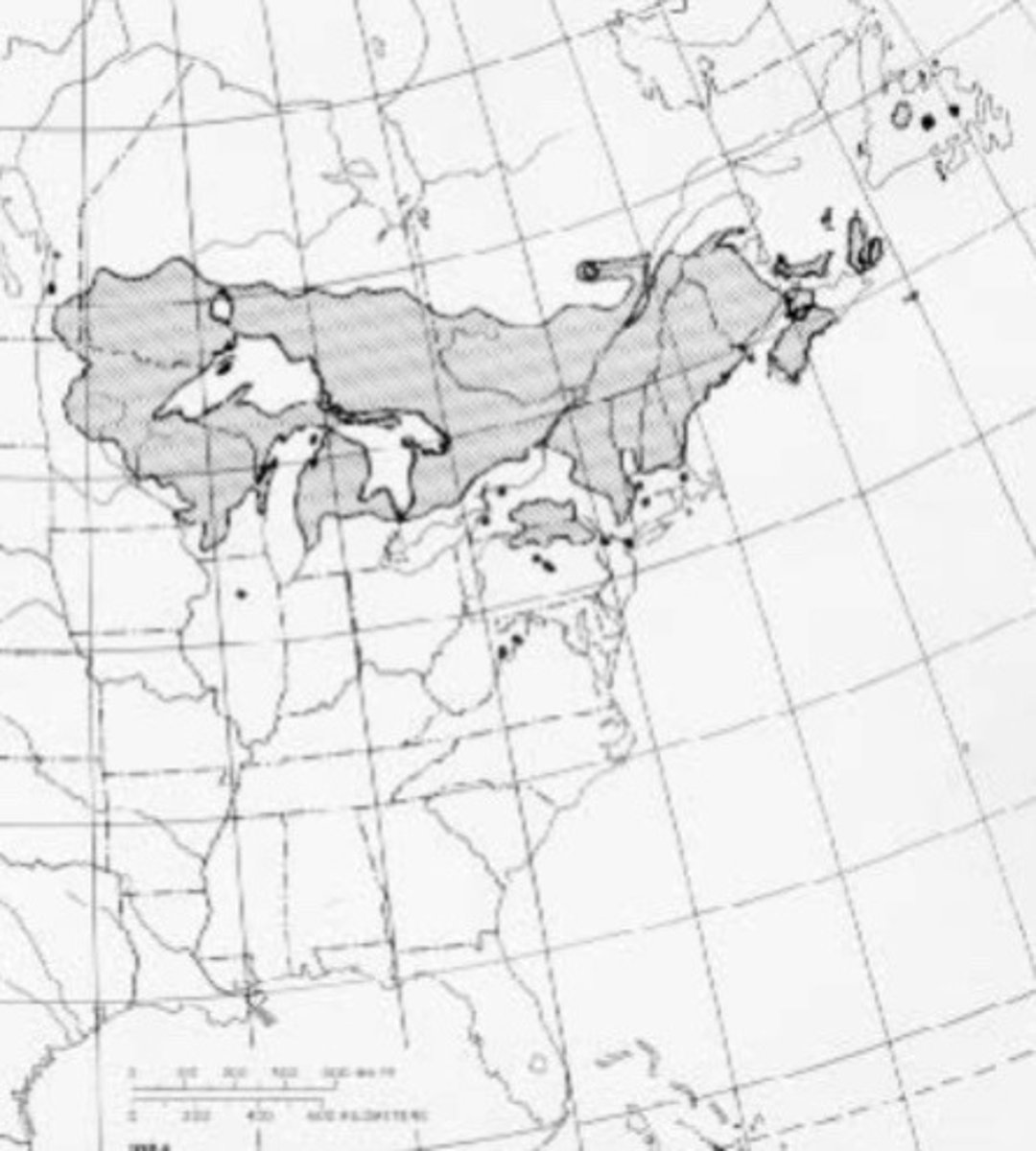 <p>What species is this?</p>