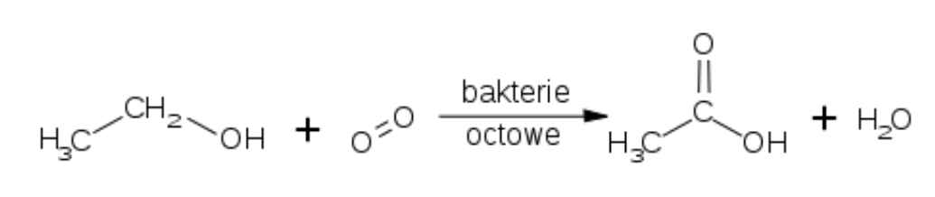 <p>nie jest to proces właściwej fermentacji bo zachodzi w warunkach tlenowych, jest to <strong>pseudofermentacja </strong></p><p>jest to utlenianie etanolu do kwasu octowego w rozcieńczonym roztworze wodnym z udziałem bakterii </p>