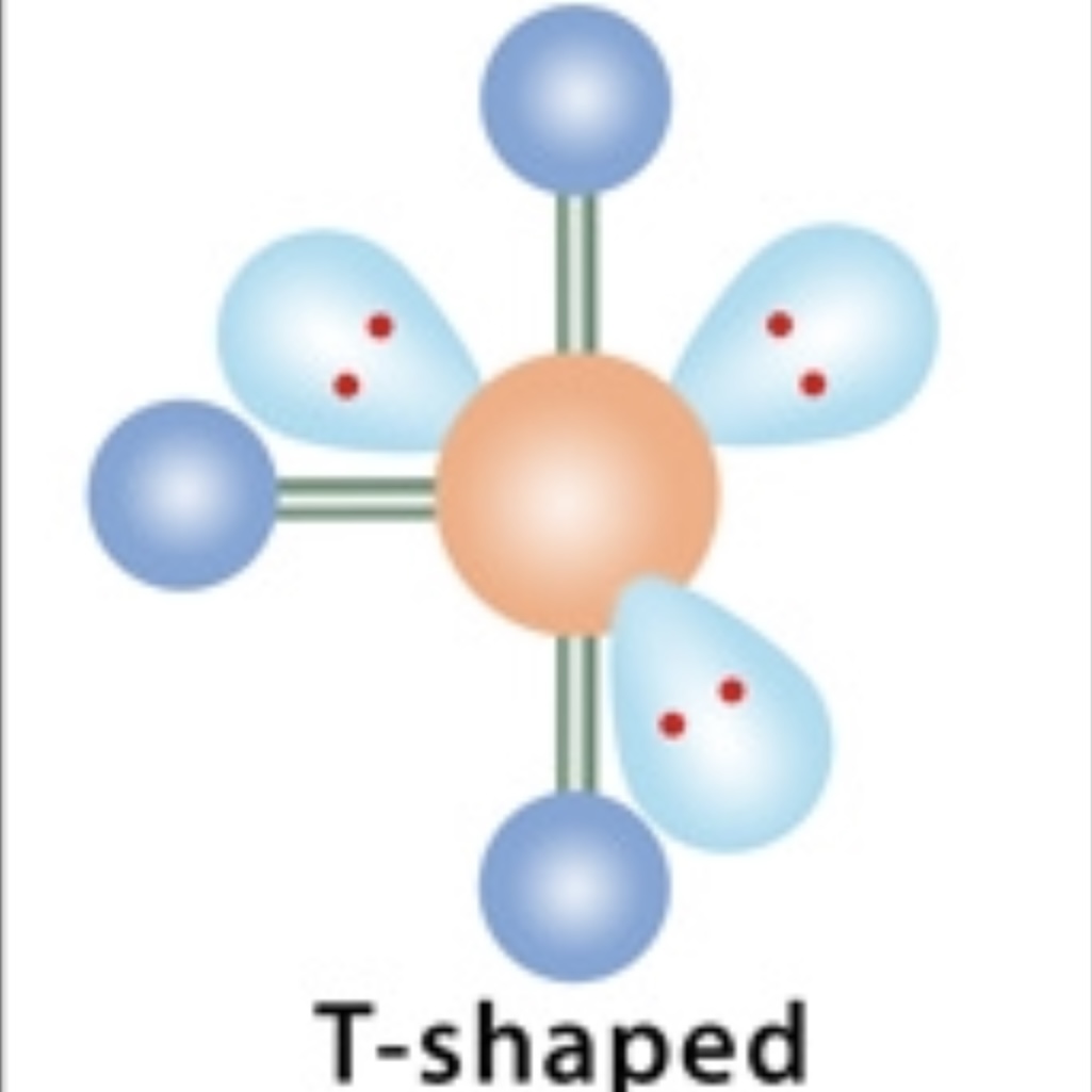 <p>T-Shaped</p>