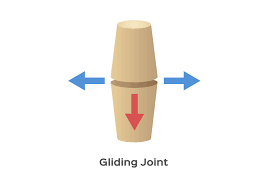 <ul><li><p><strong>Structure</strong>: Surfaces of the bones are flat or slightly curved, allowing them to glide over each other.</p></li><li><p><strong>Movement</strong>: Allows movement in two directions.</p></li><li><p><strong>Examples</strong>: Between the carpal bones in the hand, between the tarsal bones in the ankle.</p></li></ul>