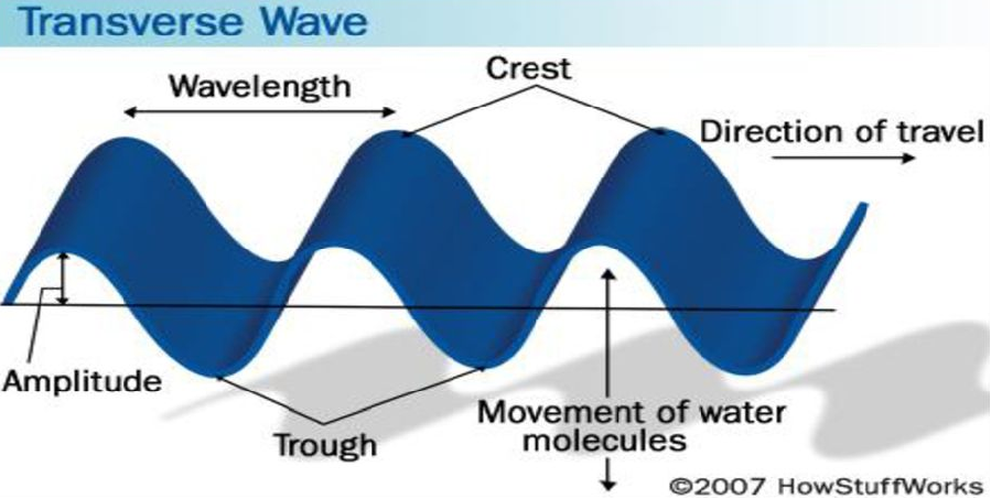 They travel as vibrations in electrical and magnetic fields. 

*(they are separated into two axis, Y-Axis is the Electric Field, X-Axis is the Magnetic Field.)*