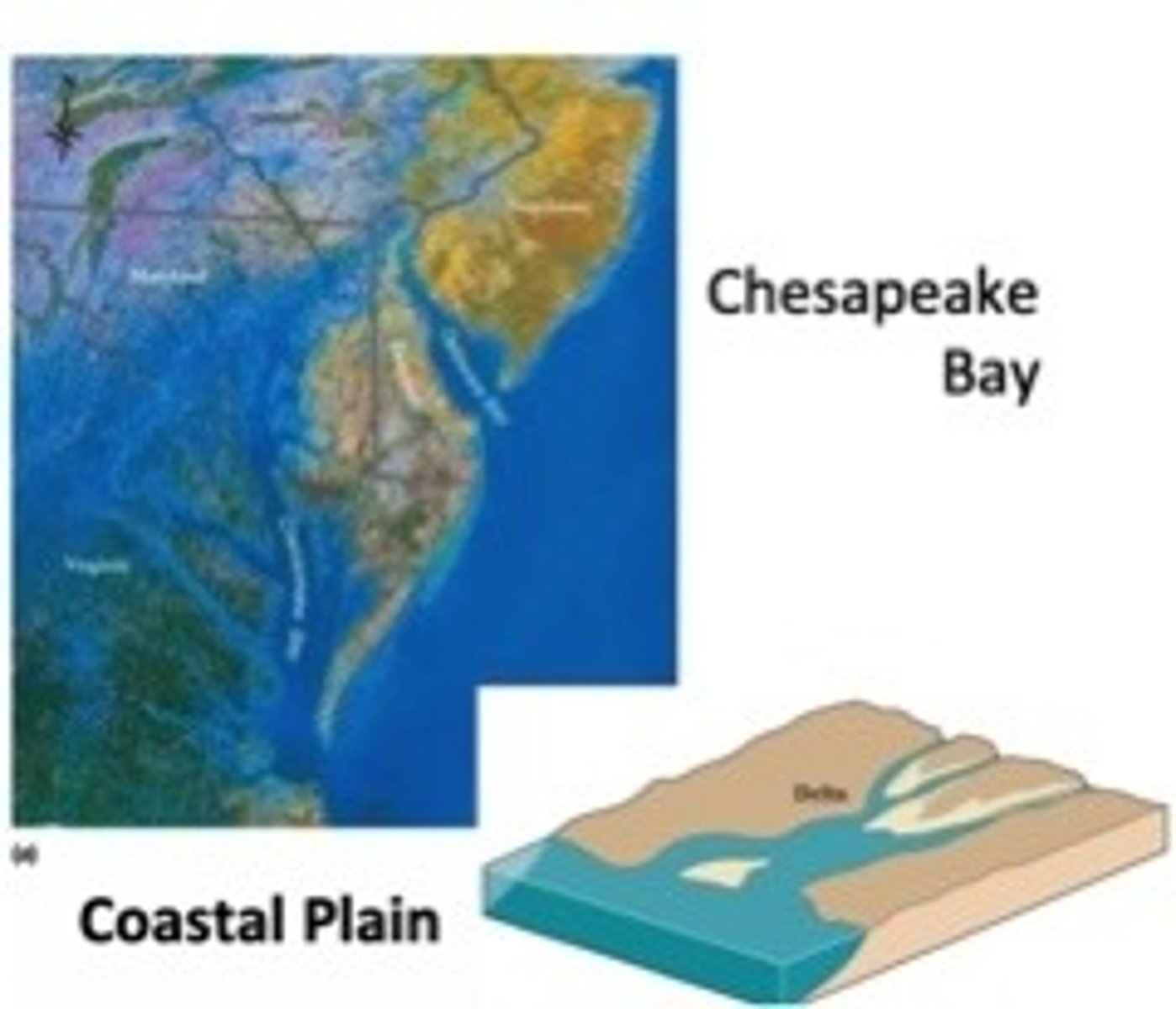 <p>formed when sea levels rise + fill existing river valley, most common type</p>