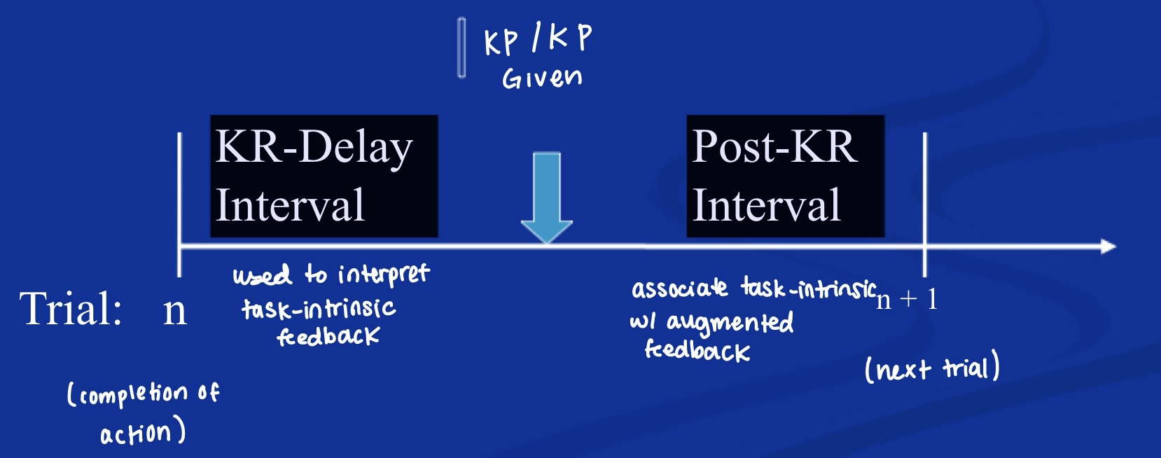 <p>-KR-Delay Interval: used to interpret task-intrinsic feedback -Post-KR Interval: associate task-intrinsic with augmented feedback</p>