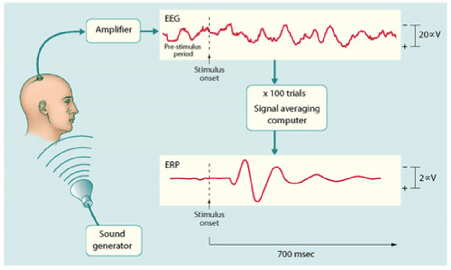 <p>Isolating specific responses of neurons to specific stimuli or tasks.</p>
