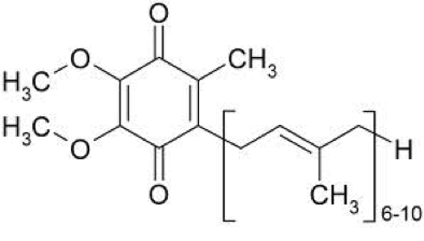 <p>-lipid soluble (b/c of long alkyl chain)</p><p>-electron carrier in ETC.</p><p>-Ubiquinol: reduced form (with -OH instead of C=O) when it picks e-</p>