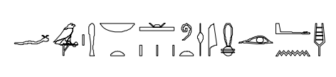 term image