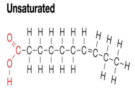 <p>Unsaturated Fatty Acid</p>