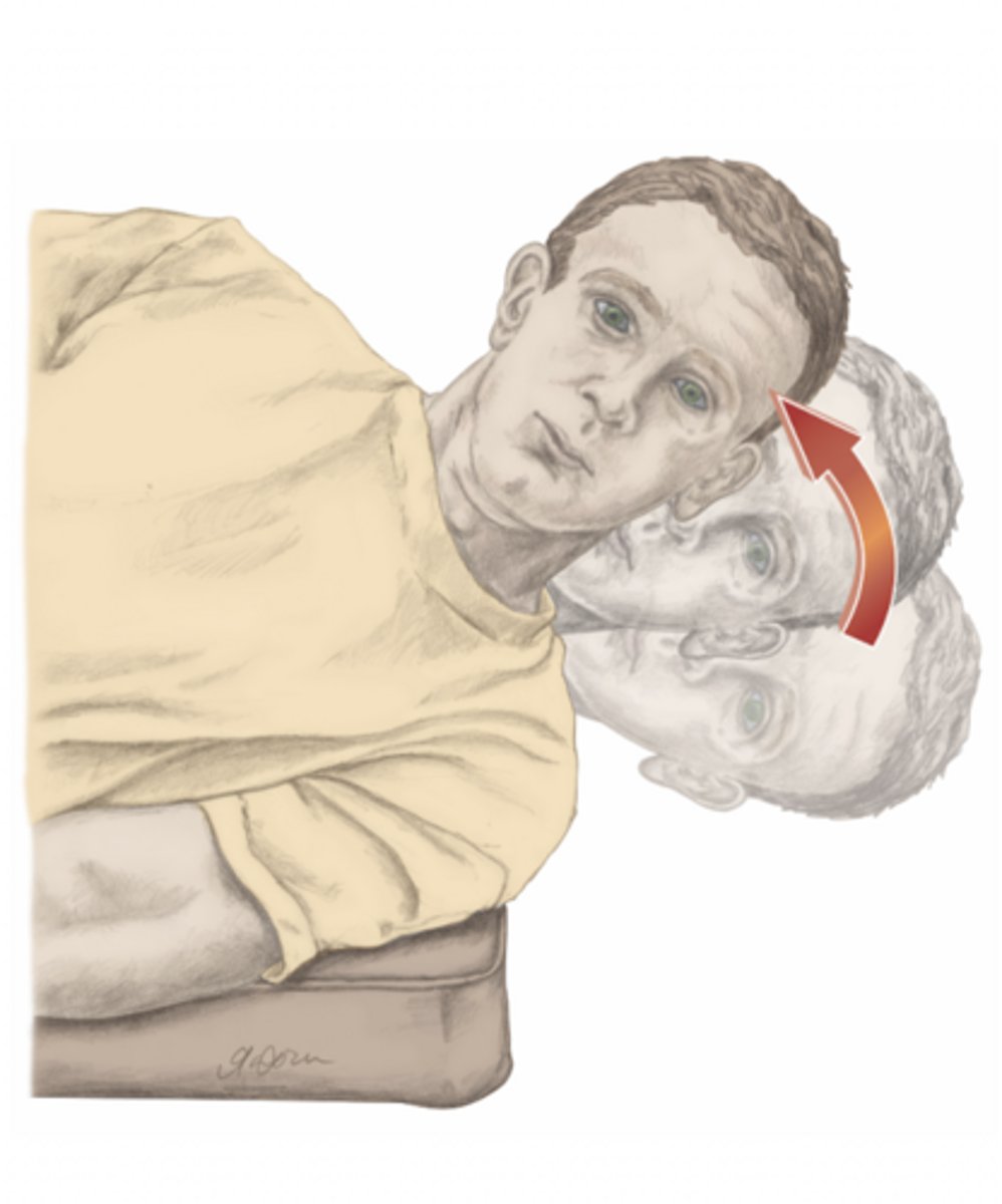 <p>please identify the movement and its location</p>