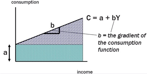 <p><span>an economic formula that measures the relationship between income and total consumption of goods and services in the economy</span></p><p><span>·&nbsp;&nbsp;&nbsp;&nbsp;&nbsp;&nbsp; Consumption = a + bY</span></p><p><span>·&nbsp;&nbsp;&nbsp;&nbsp;&nbsp;&nbsp; a = autonomous consumption</span></p><p><span>·&nbsp;&nbsp;&nbsp;&nbsp;&nbsp;&nbsp; b = extra induced consumption that results from each extra dollar of income</span></p>