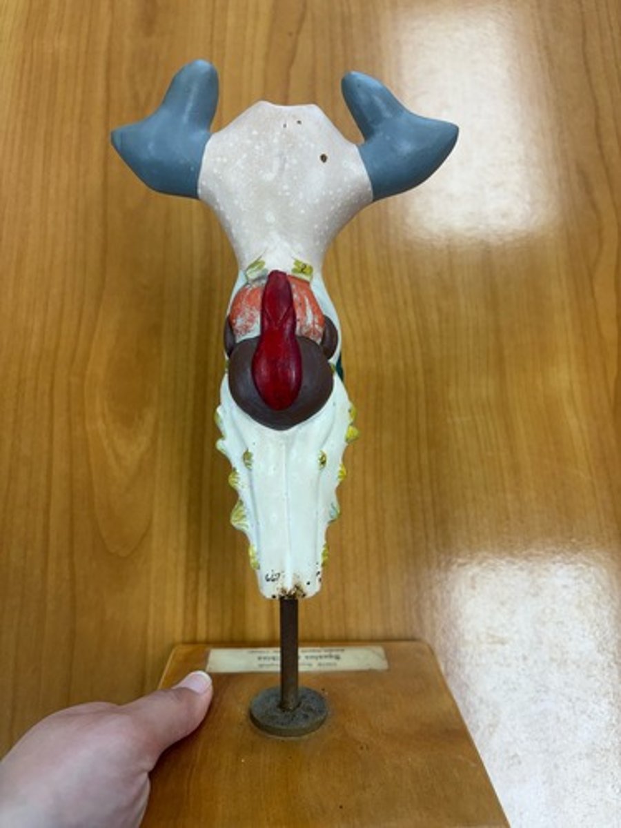 <p>Tan structure and animal</p>