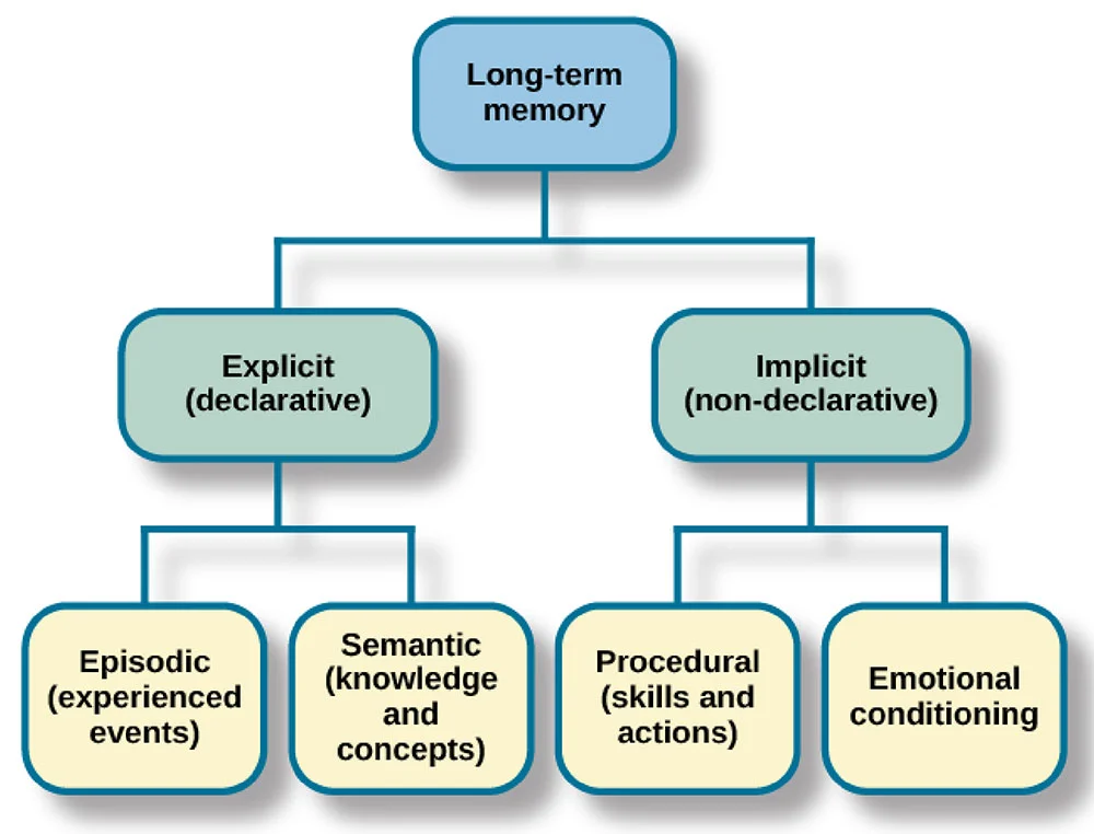 <ol><li><p>declarative and non-declarative</p></li><li><p>semantic and episodic </p></li><li><p>procedural</p></li></ol><p></p>