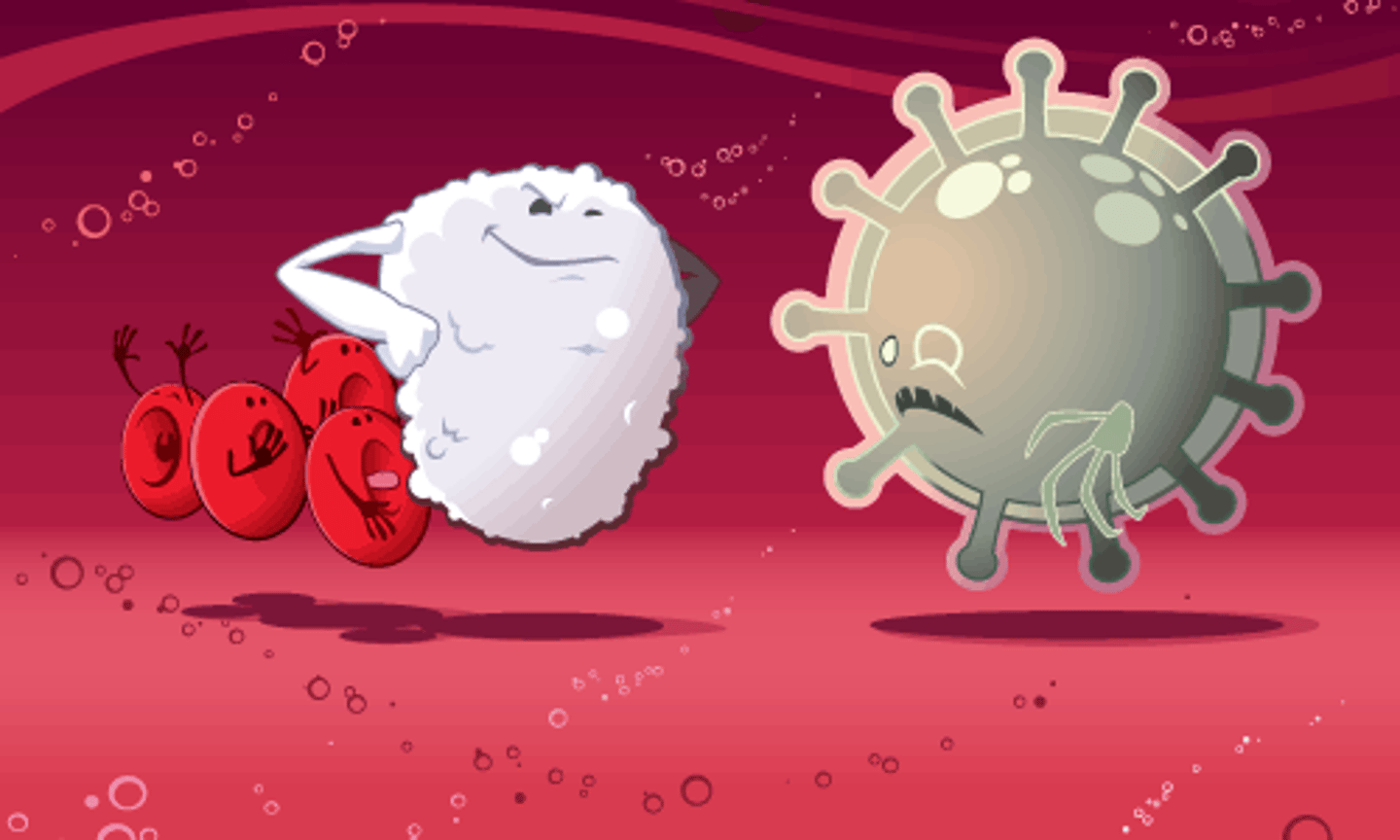 <p>cytotoxin used by some bacteria to kill leukocytes</p>