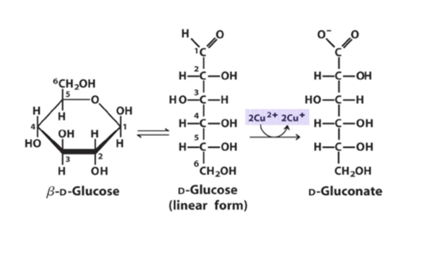 <p>gluconate</p>
