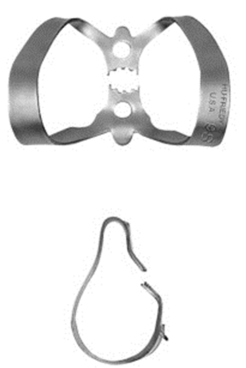 <p>•Offset flat serrated jaws for anterior teeth</p>