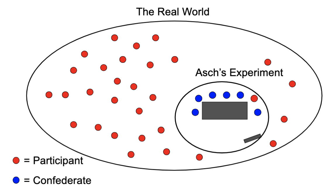 <p>Participants in Asch’s studies realise that the majority of people would pick the correct comparison line meaning that when participants get influenced by the other confederates they are actually just being influenced by a minority of six people who disagree with the majority opinion. </p>
