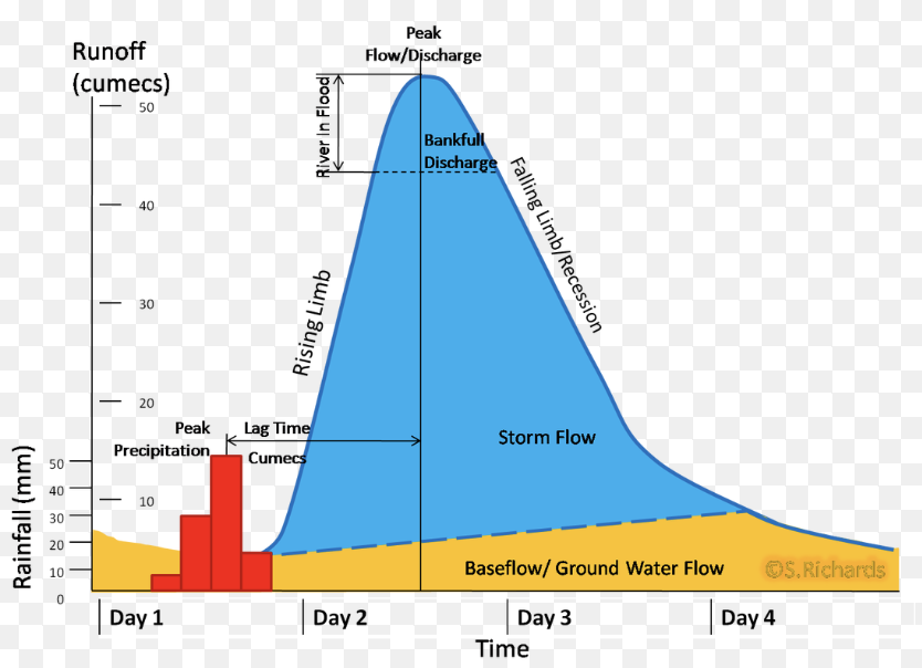 <ul><li><p>rising limb- rising discharge after a storm</p></li><li><p>falling limb- falling discharge after peak</p></li><li><p>peak discharge- max river flow after event</p></li><li><p>lag time- time between peak rainfall and peak discharge</p></li><li><p>peak rainfall- max rainfall during storm</p></li></ul><p></p><ul><li><p>drainage density- total length of all streams and rivers divided by total area of drainage basin</p></li><li><p>bankful capacity- how much water the river can hold</p><ul><li><p>if discharge exceeds bankful, the river floods</p></li></ul></li></ul><p>flatter curves with a longer lag time are well managed areas, such as gentle slopes, permeable soil, forest, rural area.</p><p>Sharp curves with a shorter lag time indicate poorly managed areas with nowhere for the water to go, eg concrete, saturated ground, heavy + quick storm, rock.</p>