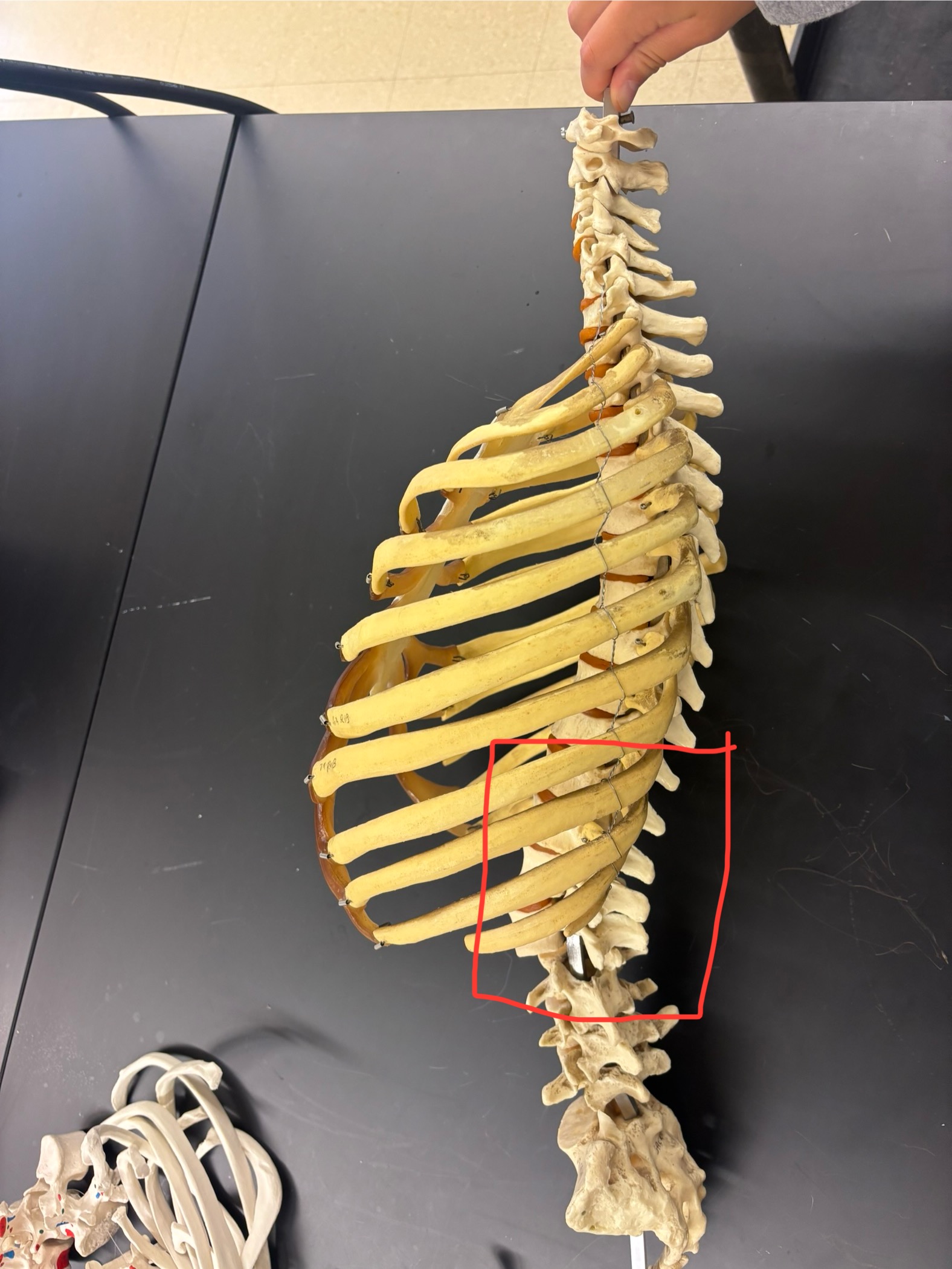 <p>What is this showing?</p>