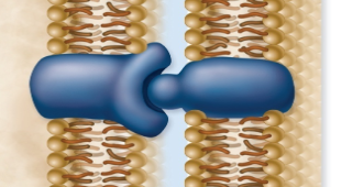 <p>This is a what doing what? </p>