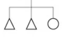 <p>what does it mean when the bar is above 2 or more symbols in the family tree?</p>