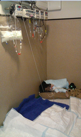 <ul><li><p>Parental nutrition is the provision of an animals nutritional requirement intravenously </p></li><li><p>It use is becoming more common in referral veterinary hospitals </p></li><li><p>Usually use a central line </p></li><li><p>Central catheter is used i.e. Jugular catheter </p></li><li><p>Possibility of septicaemia so good sterile catheter care is essential </p></li><li><p>Good care of catheter site and environment needed - food prime for bacterial growth is contaminated </p></li></ul><p></p>