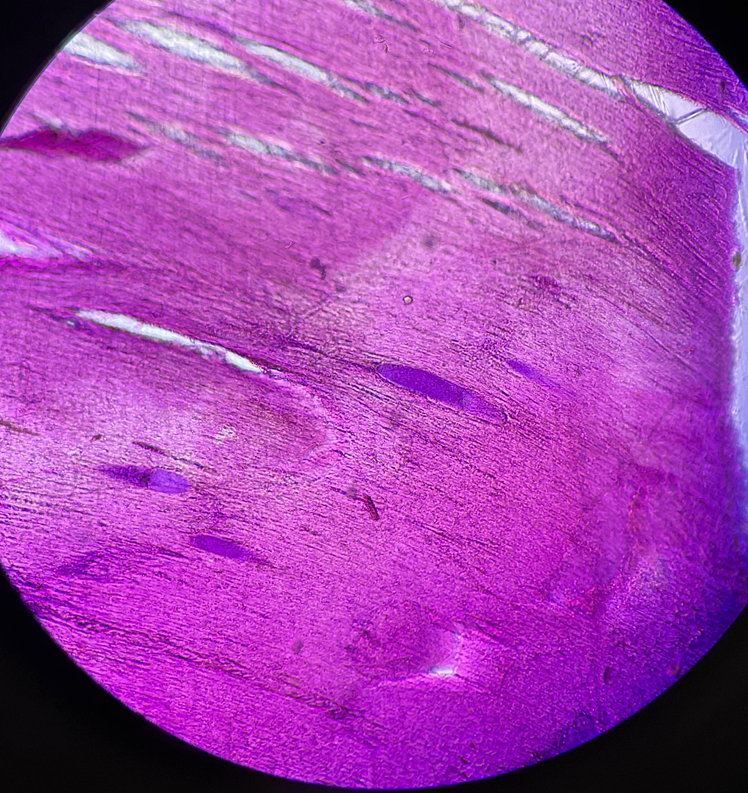 <p>identify</p>