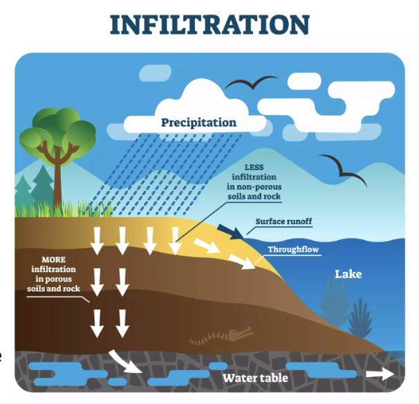<p>How does topography and amount of precipitation affect infiltration?</p>