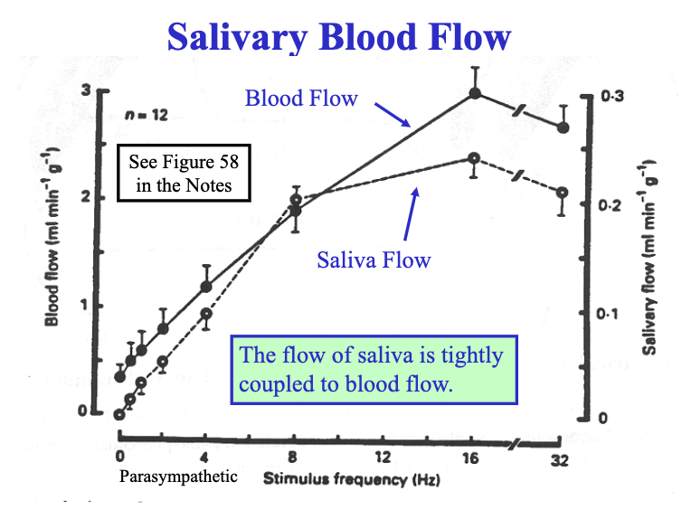 <p>blood flow</p><p></p><ul><li><p>energy and fluid requirements of secretory activity require increase in blood flow (bc u secrete a lot of saliva in short time —&gt; need inc saliva production)</p></li></ul><p></p>