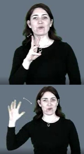 <p>Sign water then throw ball</p>