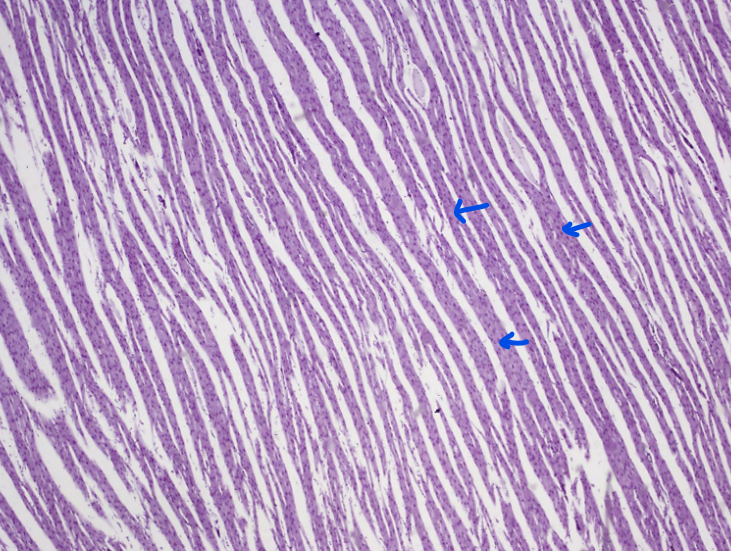 <p>What is this?</p>